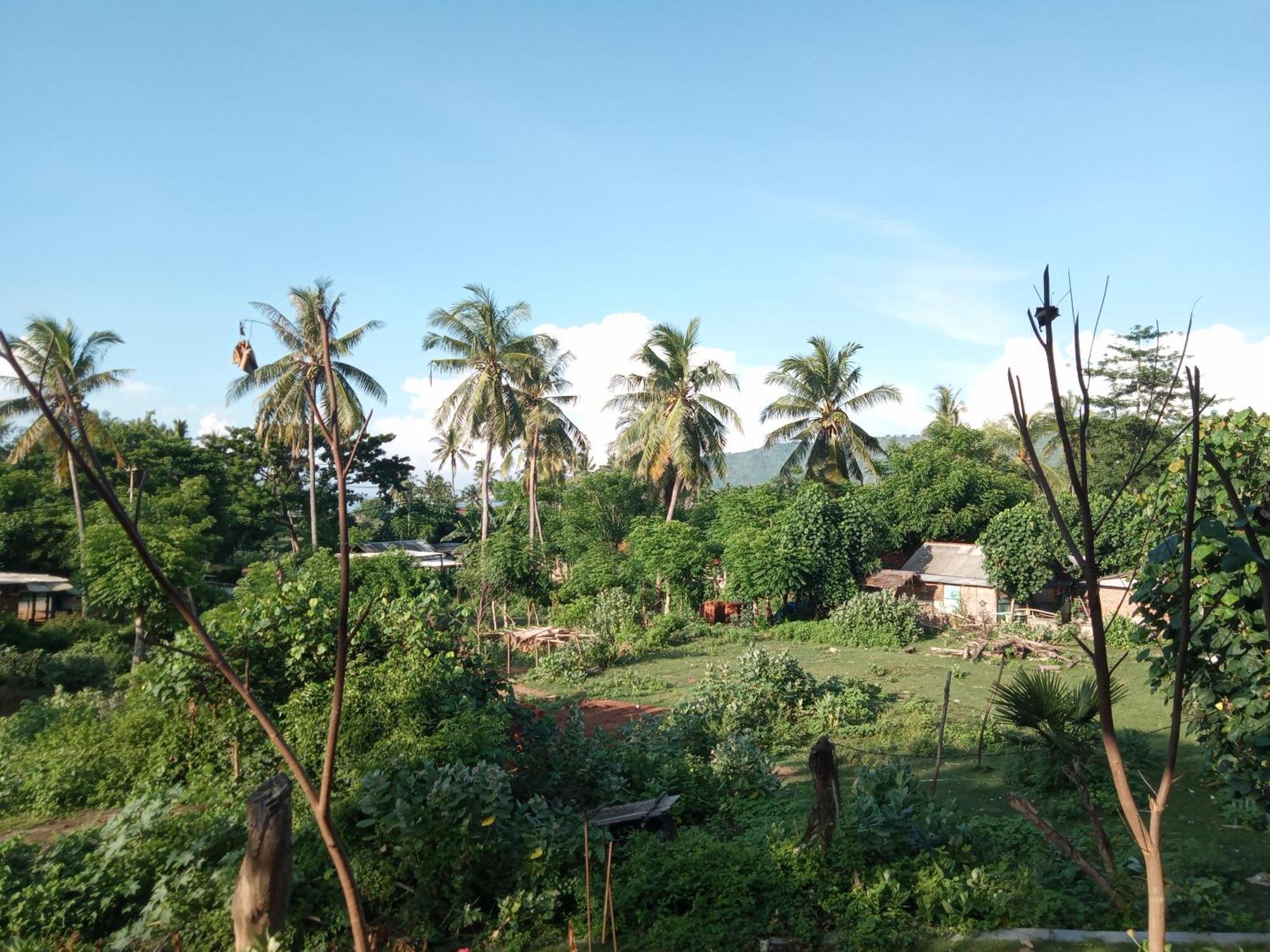 Ramdan Homestay Kuta  الغرفة الصورة